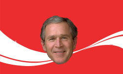 Cola-Bush