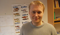 Ole Kristian Våge